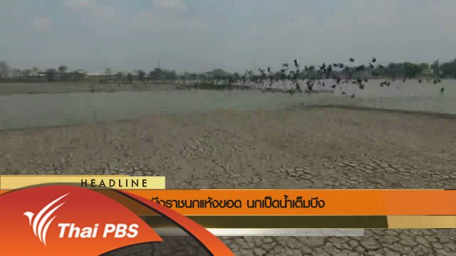 ประเด็นข่าว (18 พ.ค. 59)