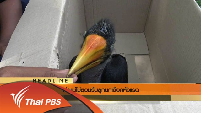 ประเด็นข่าว (19 พ.ค. 59)