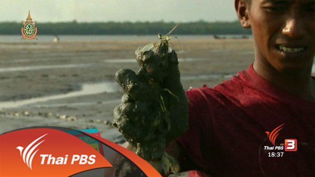 ตะลุยทั่วไทย : 27 พ.ค. 59