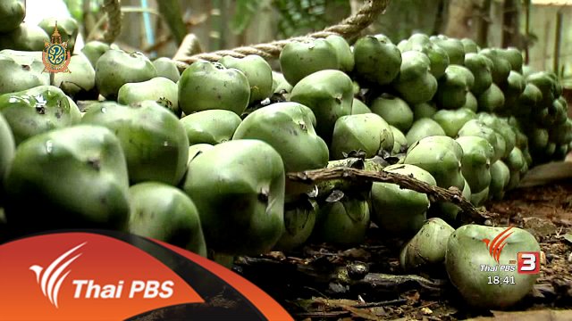 ตะลุยทั่วไทย : 31 พ.ค. 59