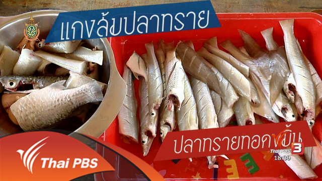 ตะลุยทั่วไทย : 1 มิ.ย. 59