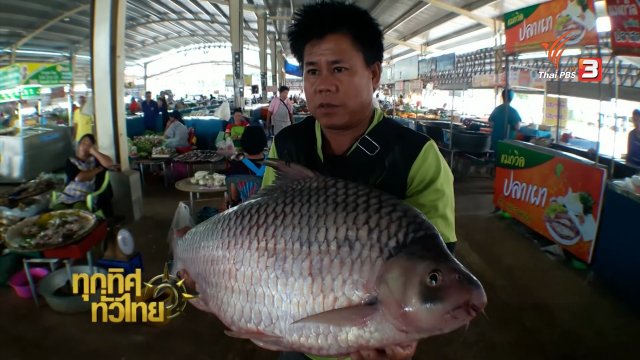 ประเด็นข่าว (19 ส.ค. 59)