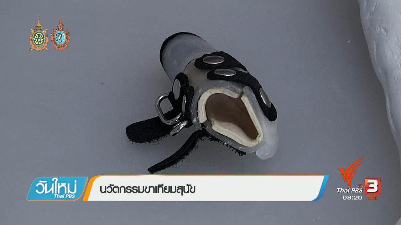 วันใหม่ ไทยพีบีเอส - บอกเล่าข่าวดี : นวัตกรรมขาเทียมสุนัข