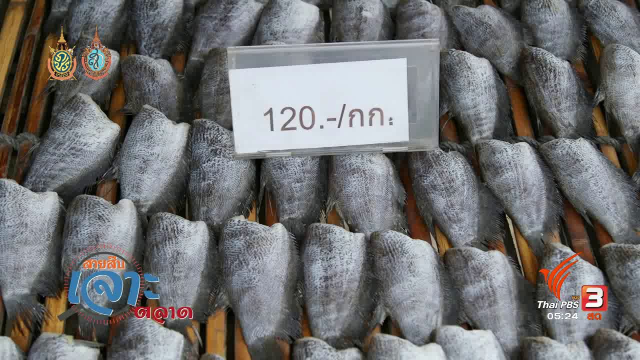 วันใหม่ ไทยพีบีเอส - สายสืบเจาะตลาด : ราคาปลาสลิด อ.บางบ่อ จ.สมุทรปราการ