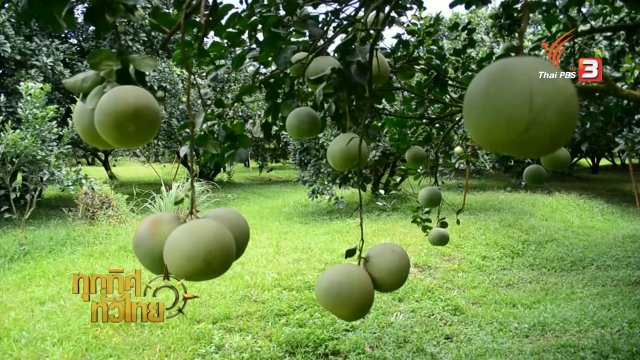 ประเด็นข่าว (23 ส.ค. 59)