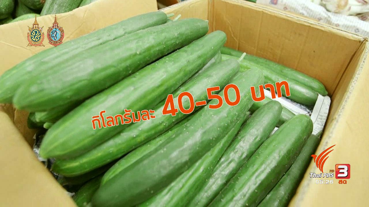 วันใหม่ ไทยพีบีเอส - สายสืบเจาะตลาด : สำรวจราคาผัก ปากคลองตลาด