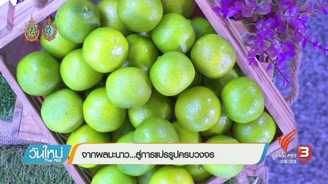 ลงทุนทำกิน : เพิ่มมูลค่ามะนาวด้วยการแปรรูป