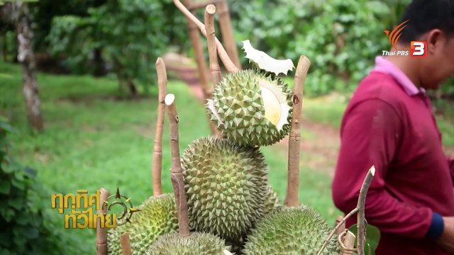 ประเด็นข่าว (24 ส.ค. 59)