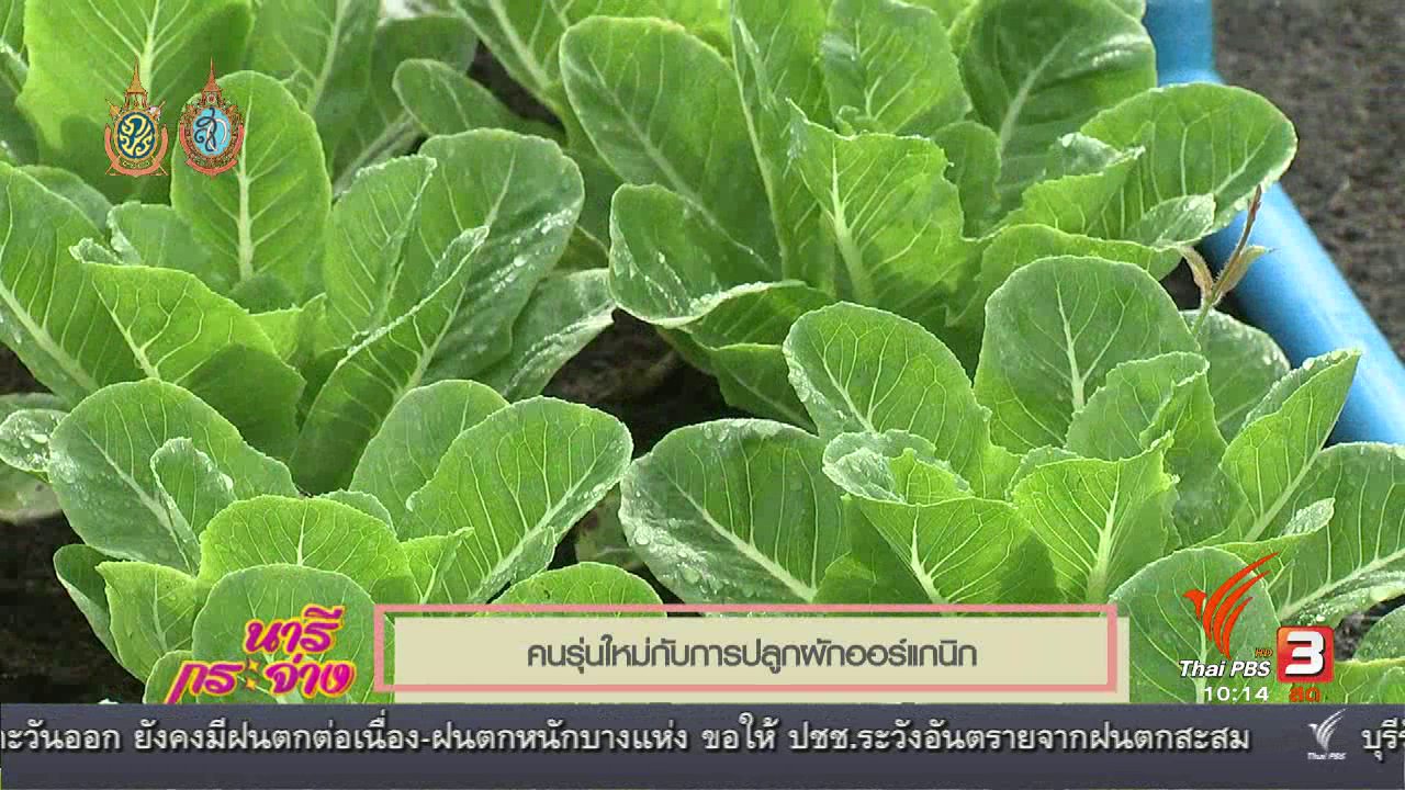 นารีกระจ่าง - TALK : กว่าจะมาเป็น "มังกรหยก เจ้าชายผักสลัด"