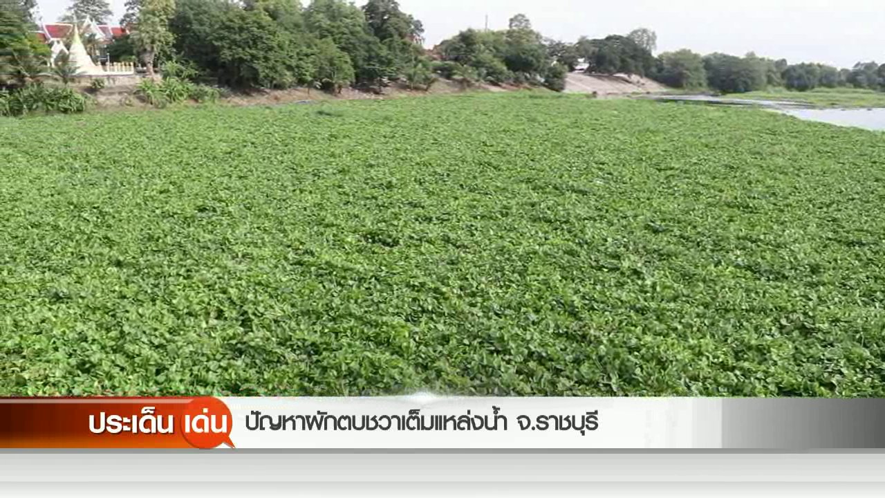 สถานีประชาชน - ปัญหาผักตบชวาเต็มแหล่งลำน้ำ จ.ราชบุรี