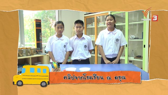 การพลางตัวของสัตว์