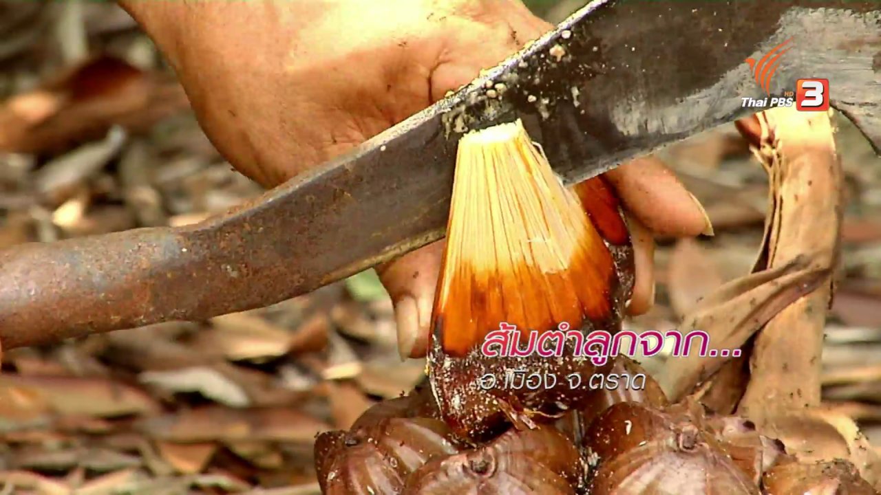 ข่าวค่ำ มิติใหม่ทั่วไทย - ตะลุยทั่วไทย : ส้มตำลูกจาก