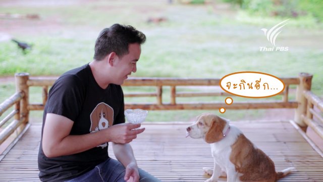 กินไอศกรีมยั่วไข่ดาวให้น้ำลายไหล