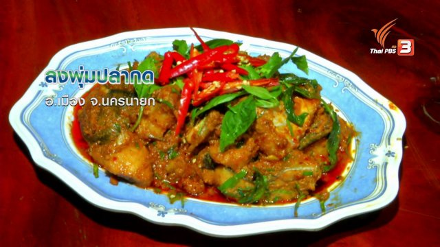 ตะลุยทั่วไทย : ลงพุ่มปลากด