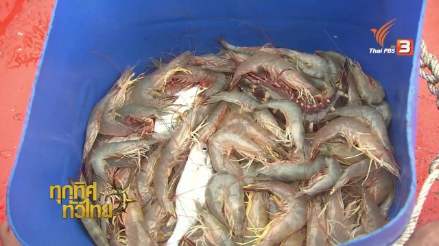 วิถีทั่วไทย : อาหารพื้นบ้านจานเด็ดจากกุ้งแชบ๊วย จ.จันทบุรี