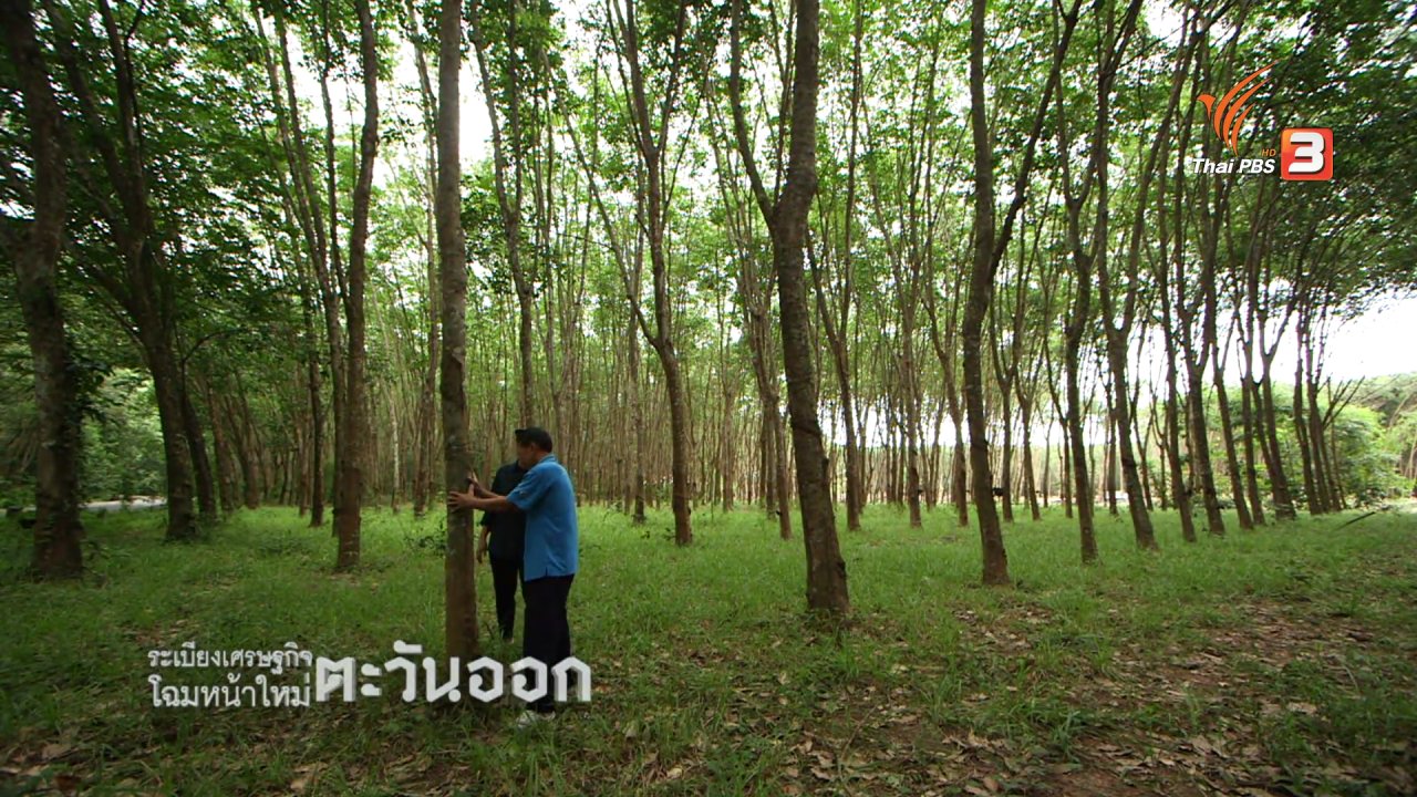 เสียงประชาชน เปลี่ยนประเทศไทย - ระเบียงเศรษฐกิจ : โฉมหน้าใหม่ตะวันออก