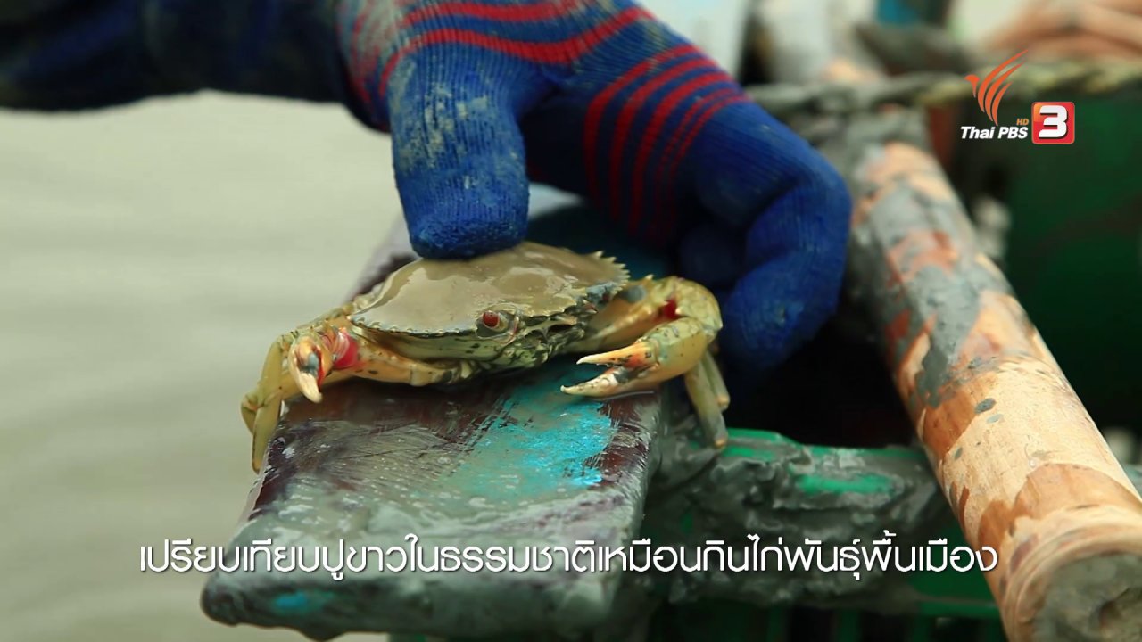 ทั่วถิ่นแดนไทย - สวัสดีความสุขที่แหลมตะลุมพุก จ.นครศรีธรรมราช