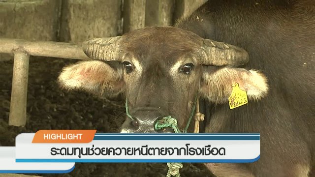 ประเด็นข่าว (9 ก.ย. 59)