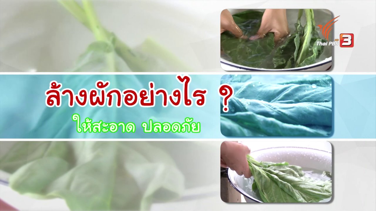 หม้อข้าวหม้อแกง - ล้างผักอย่างไร ให้สะอาด ปลอดภัย