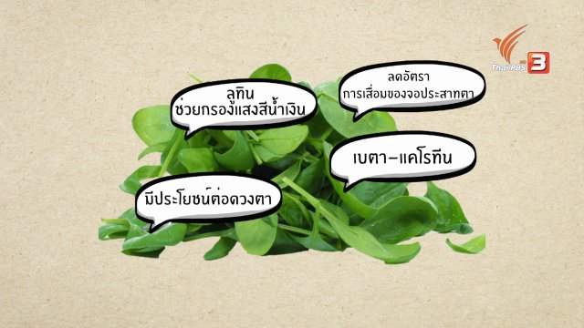 อาหารเป็นยา : ผักโขม