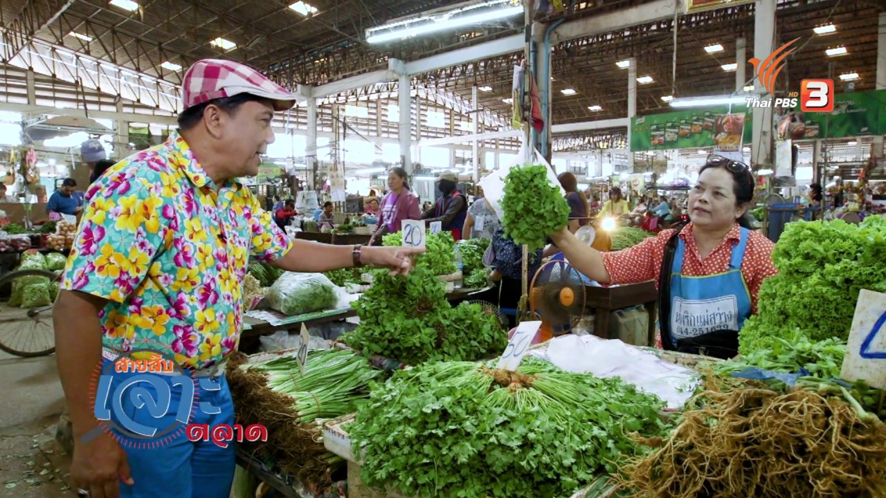 วันใหม่ ไทยพีบีเอส - สายสืบเจาะตลาด : สำรวจราคาผัก ตลาดสุรนครเมืองใหม่ จ.นครราชสีมา