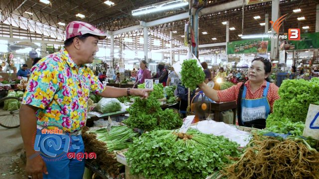 สายสืบเจาะตลาด : สำรวจราคาผัก ตลาดสุรนครเมืองใหม่ จ.นครราชสีมา