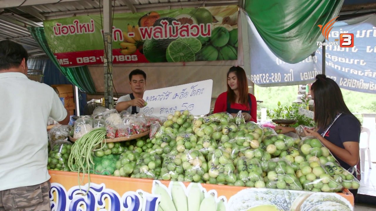 วันใหม่ ไทยพีบีเอส - สายสืบเจาะตลาด : สำรวจราคาสินค้าเกษตร วัดสมานรัตนาราม จ.ฉะเชิงเทรา