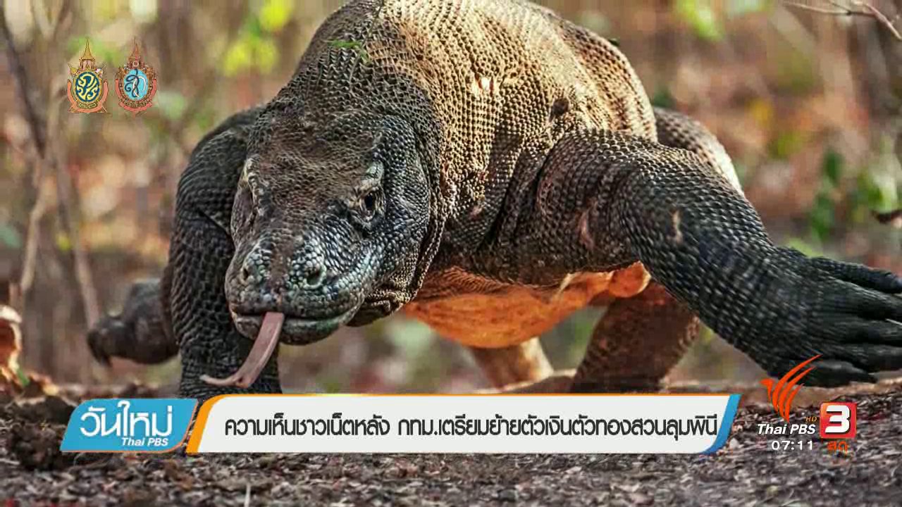 วันใหม่ ไทยพีบีเอส - คลิกให้ปัง : ไม่เห็นด้วยกับกทม.ย้ายตัวเงินตัวทองออกจากสวนลุม