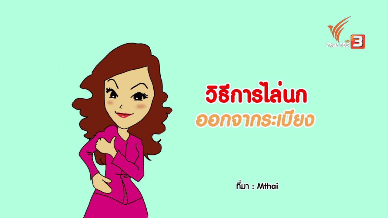 นารีกระจ่าง - กระจ่างจิต : วิธีการไล่นกออกจากระเบียง