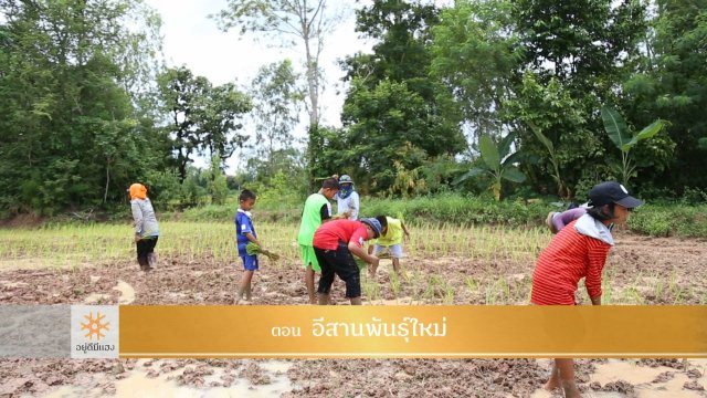 อีสานพันธุ์ใหม่