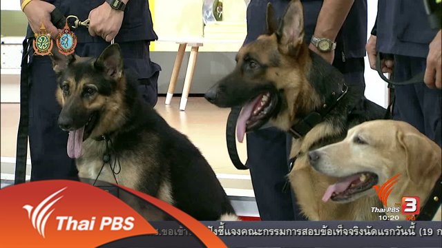 Talk : สุนัขตำรวจติดยศ กับภารกิจเพื่อชาติ