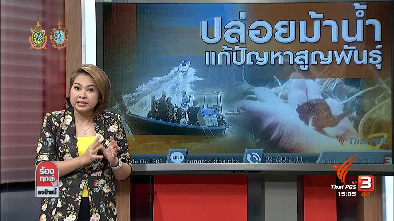 ร้องทุก(ข์) ลงป้ายนี้ - ปล่อยม้าน้ำแก้ปัญหาสูญพันธุ์