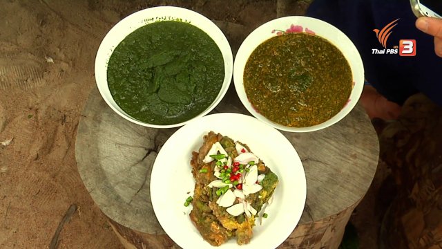 ตะลุยทั่วไทย : แกงผำ