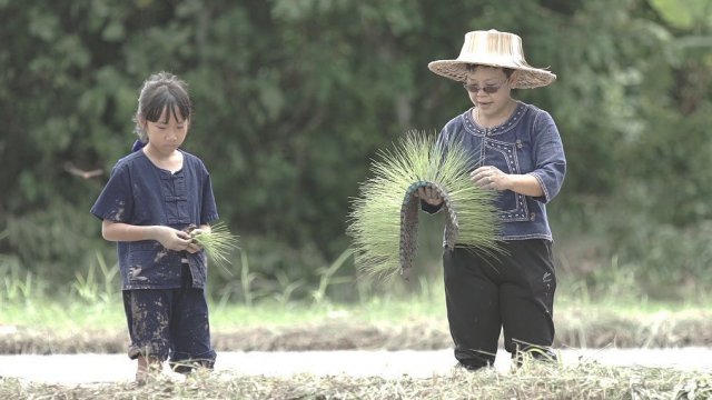 โรงเรียนชาวนาน้อย