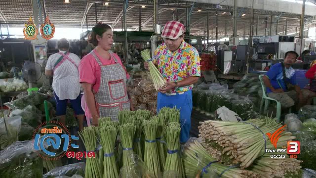 สายสืบเจาะตลาด : สำรวจราคาตะไคร้หน้าสวน