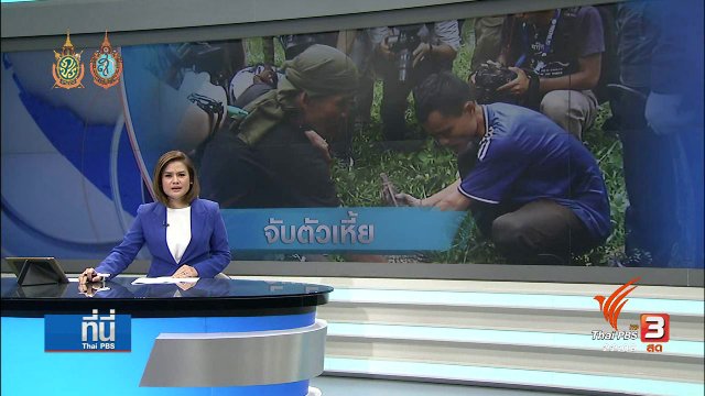ที่นี่ Thai PBS : 7 ชั่วโมง จับเหี้ยสวนลุมพินี 40 ตัว