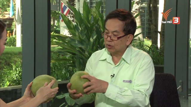 วิธีเลือก และประโยชน์ของส้มโอ