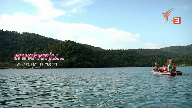 ตะลุยทั่วไทย : สาหร่ายทุ่น