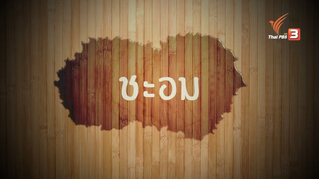 อาหารเป็นยา : ชะอม