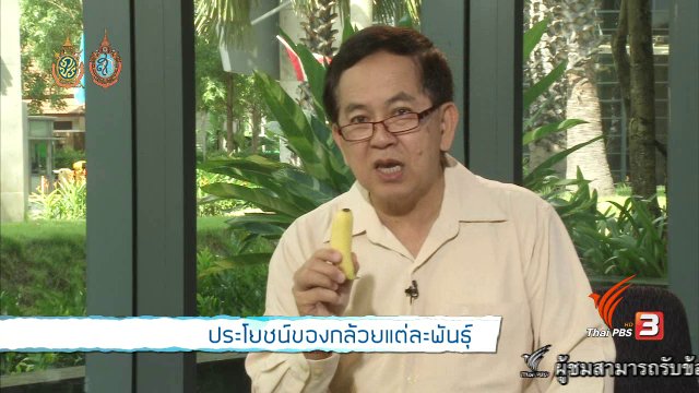 ประโยชน์ของกล้วยแต่ละพันธุ์