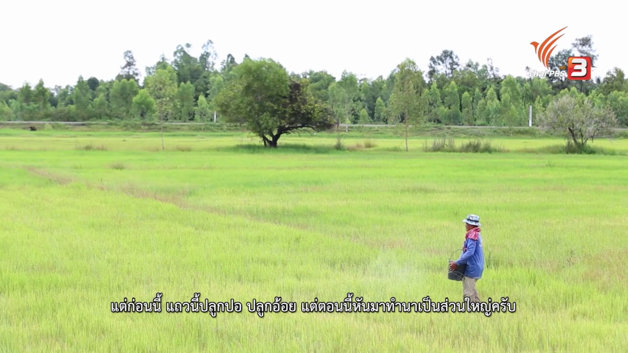 ภูมิภาค 3.0 - หนองโอง โขง ชี มูล, ใครว่าเทพาไม่มีอะไร, สะพานบุญ โขกู้โส่