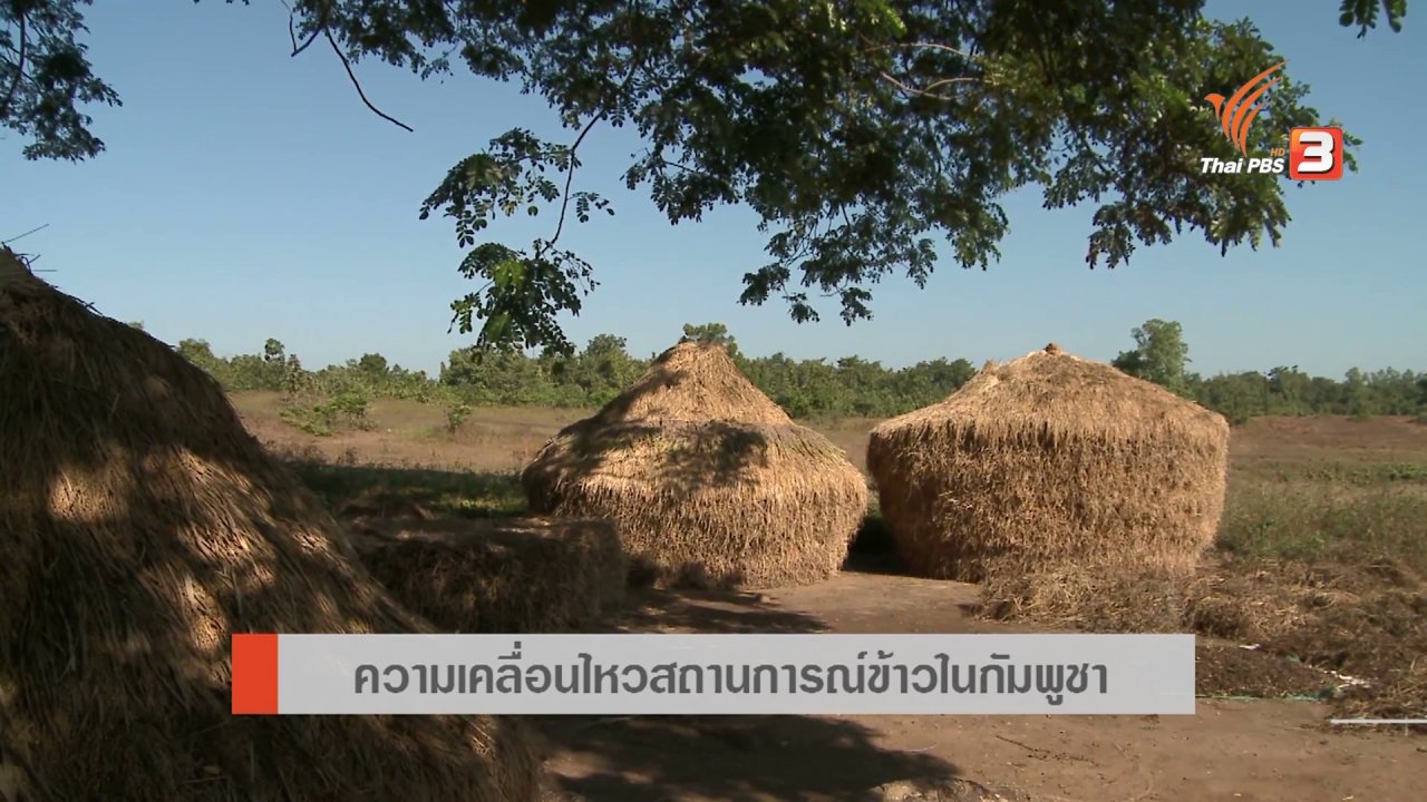 AEC Business Class รู้ทันเออีซี - AEC Movement : ความเคลื่อนไหวสถานการณ์ข้าวในกัมพูชา