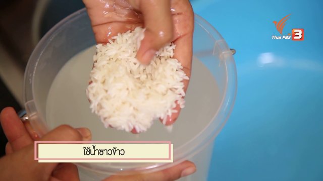 สุดยอดแม่บ้าน : ล้างผักอย่างไรให้ปลอดภัยจากสารพิษ