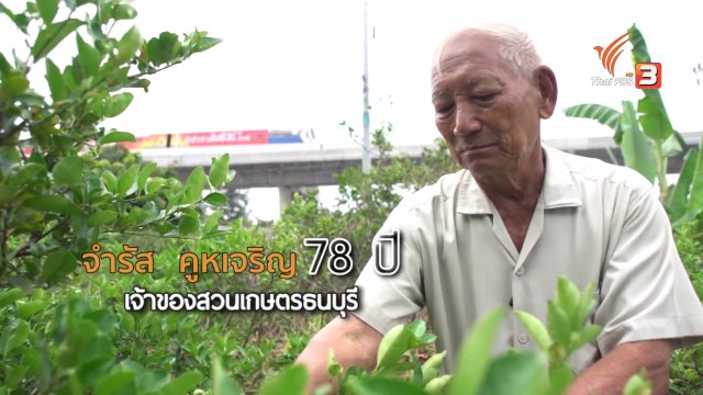 ลุงจำรัส