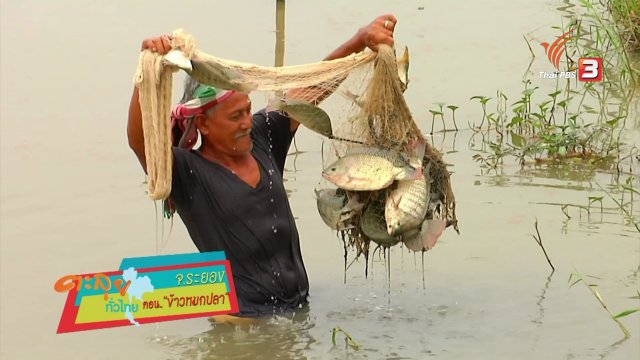 ข้าวหมกปลา