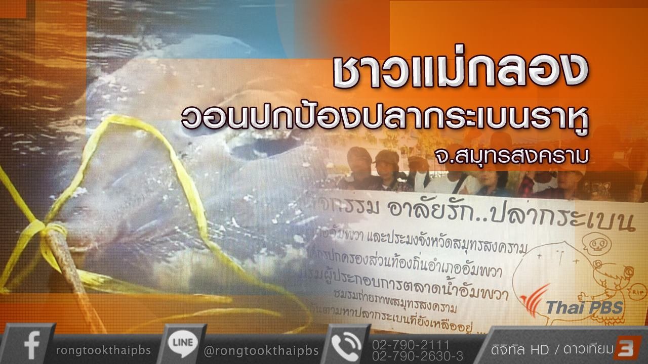 ร้องทุก(ข์) ลงป้ายนี้ - ชาวแม่กลองวอนปกป้องปลากระเบนราหู จ.สมุทรสงคราม