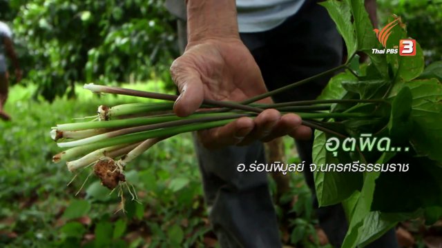 ตะลุยทั่วไทย : อุตพิด