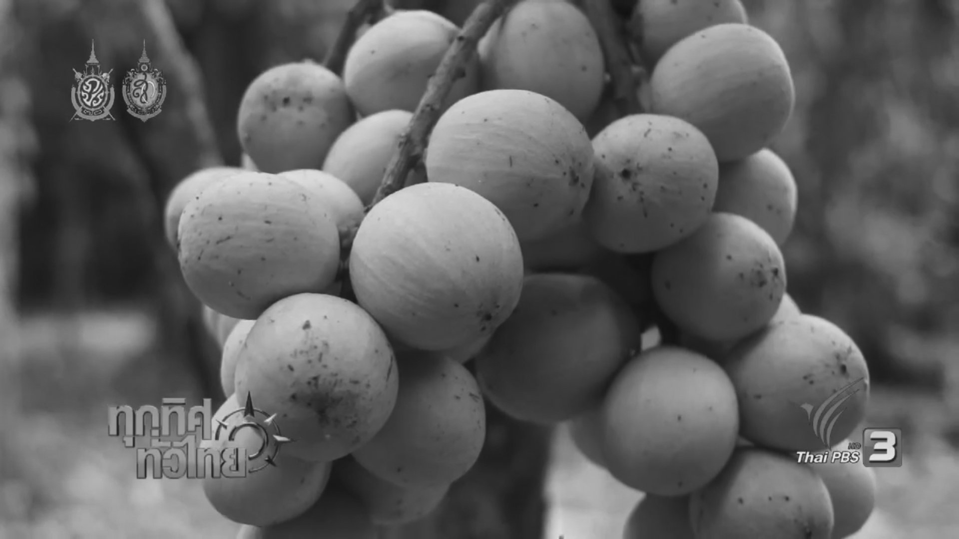 ประเด็นข่าว (13 ต.ค. 59)