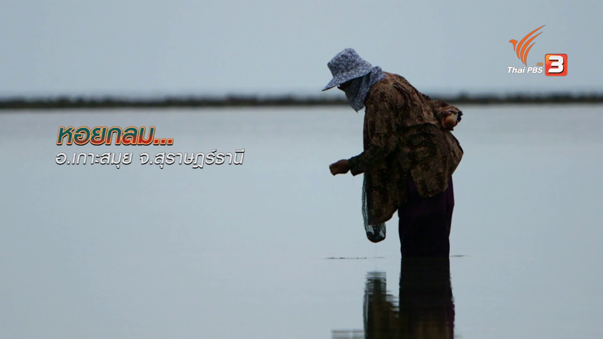 ข่าวค่ำ มิติใหม่ทั่วไทย - ตะลุยทั่วไทย : หอยกลม