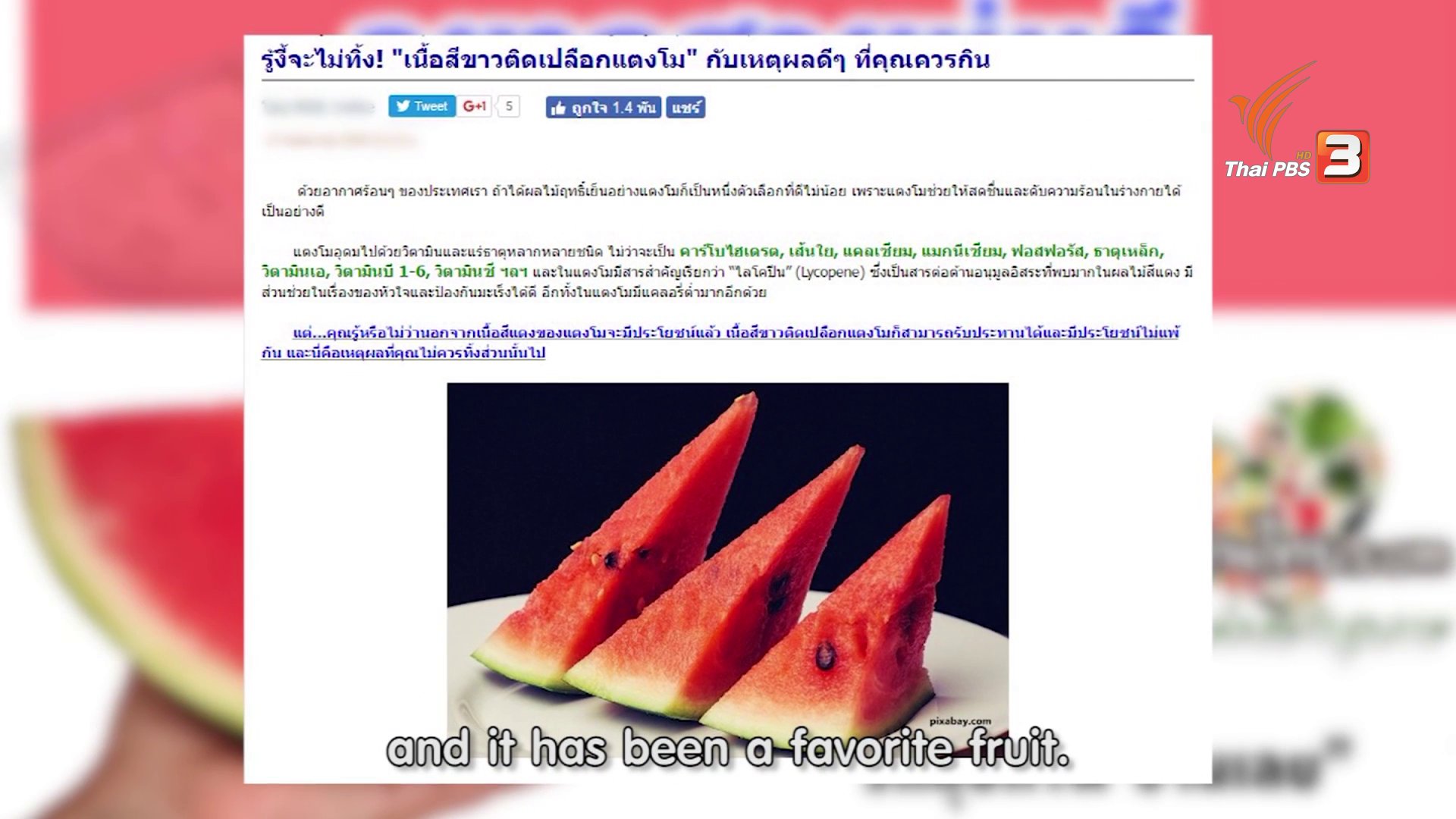 ข่าวค่ำ มิติใหม่ทั่วไทย - soเชี่ยว FAKE or FACT : เปลือกสีขาวของแตงโมทานได้จริงหรือไม่